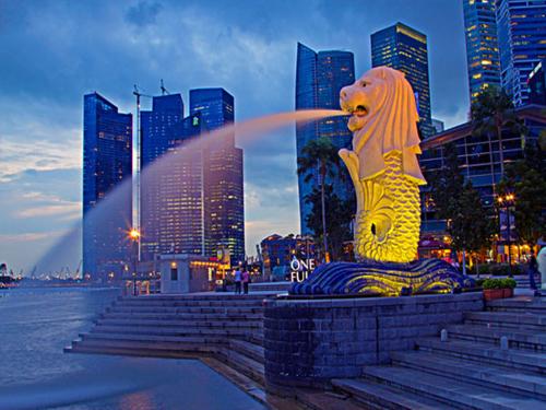 新加坡注册公司